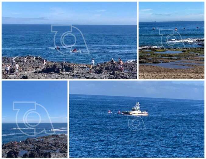 Collage de los papanoeles acuáticos/TA.